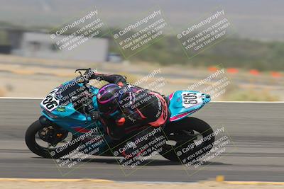 media/Sep-30-2023-SoCal Trackdays (Sat) [[636657bffb]]/Turn 12 Inside Pans (110pm)/